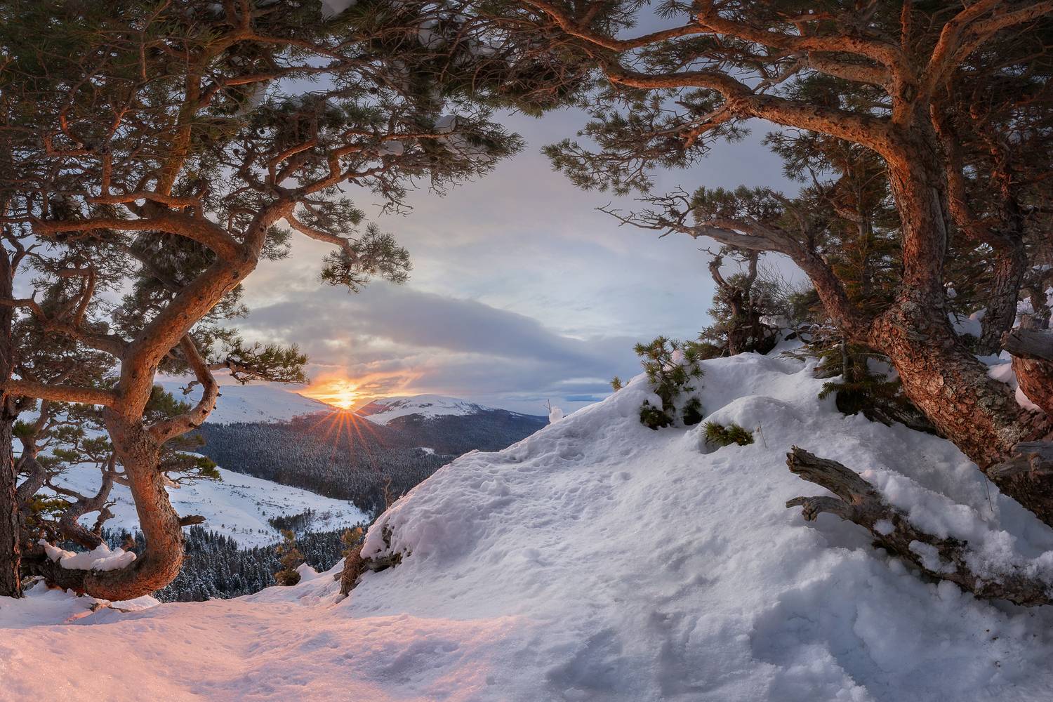 , Константин Маланин