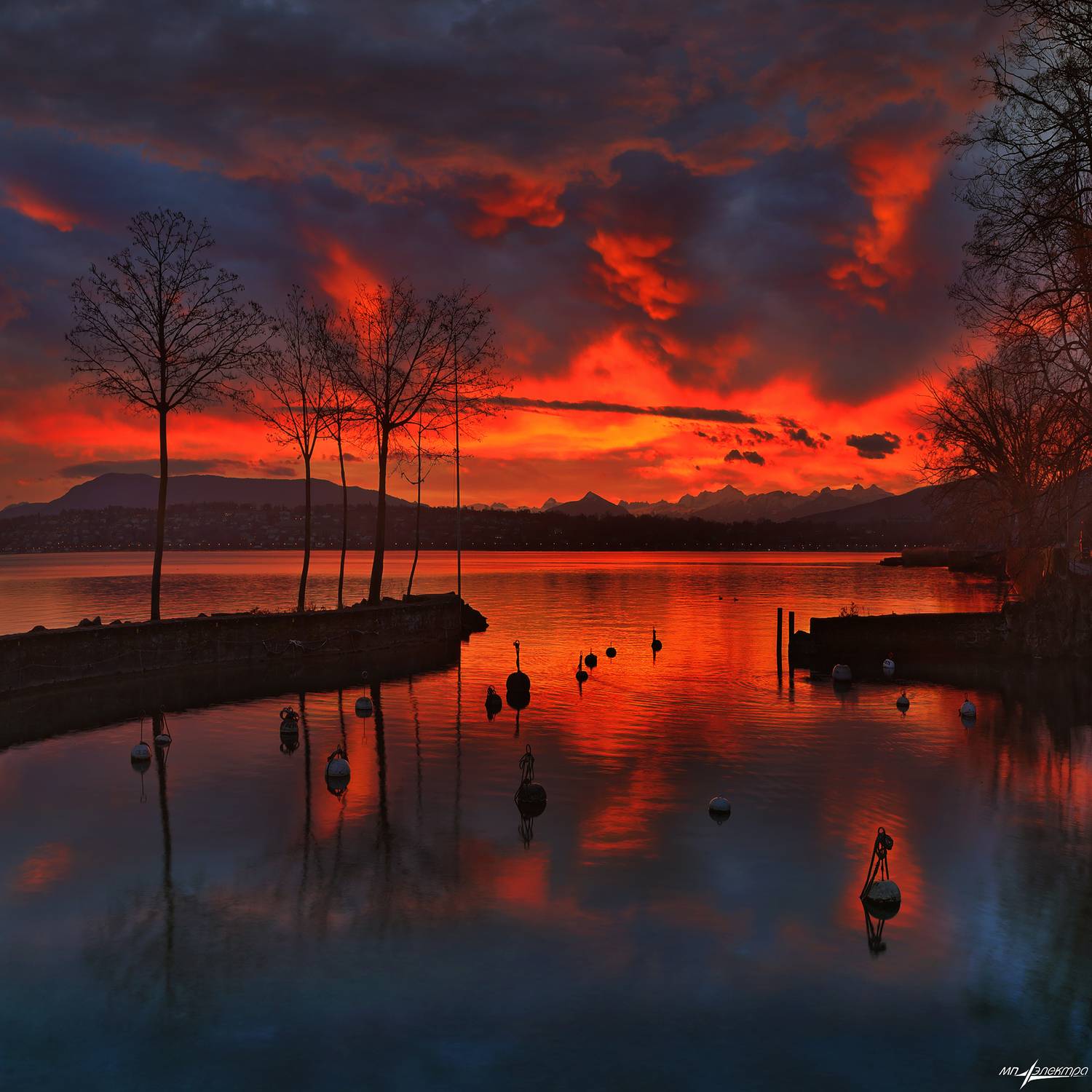 swiss, Матвеев Николай