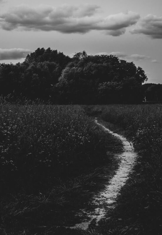 P390 фото превью