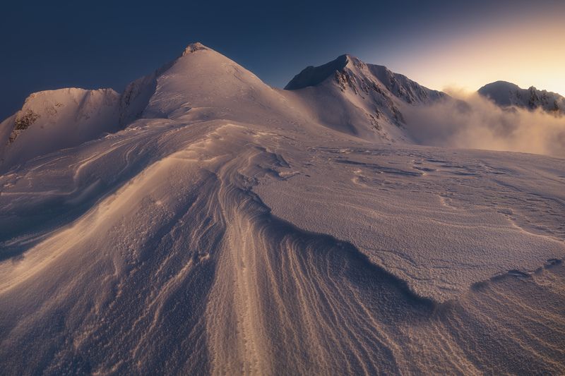 Cast in gold фото превью