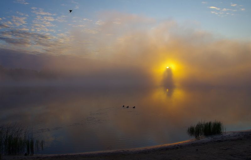 Встречая утро фото превью