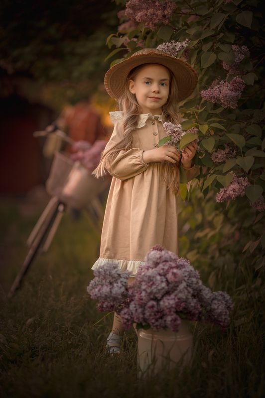 Летним вечером фото превью