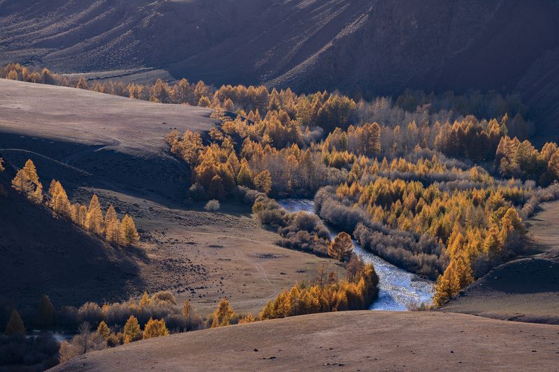 кокоря, алтай, осень Кокоря фото превью