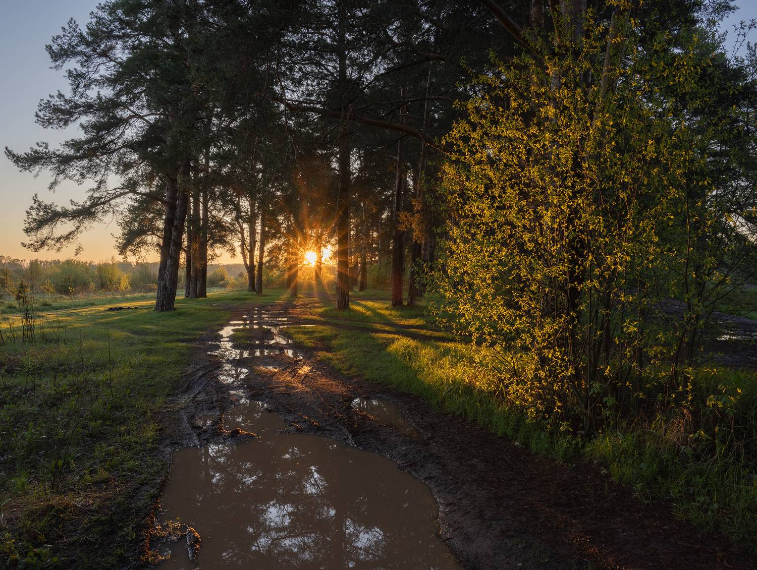 , Карепанов Евгений