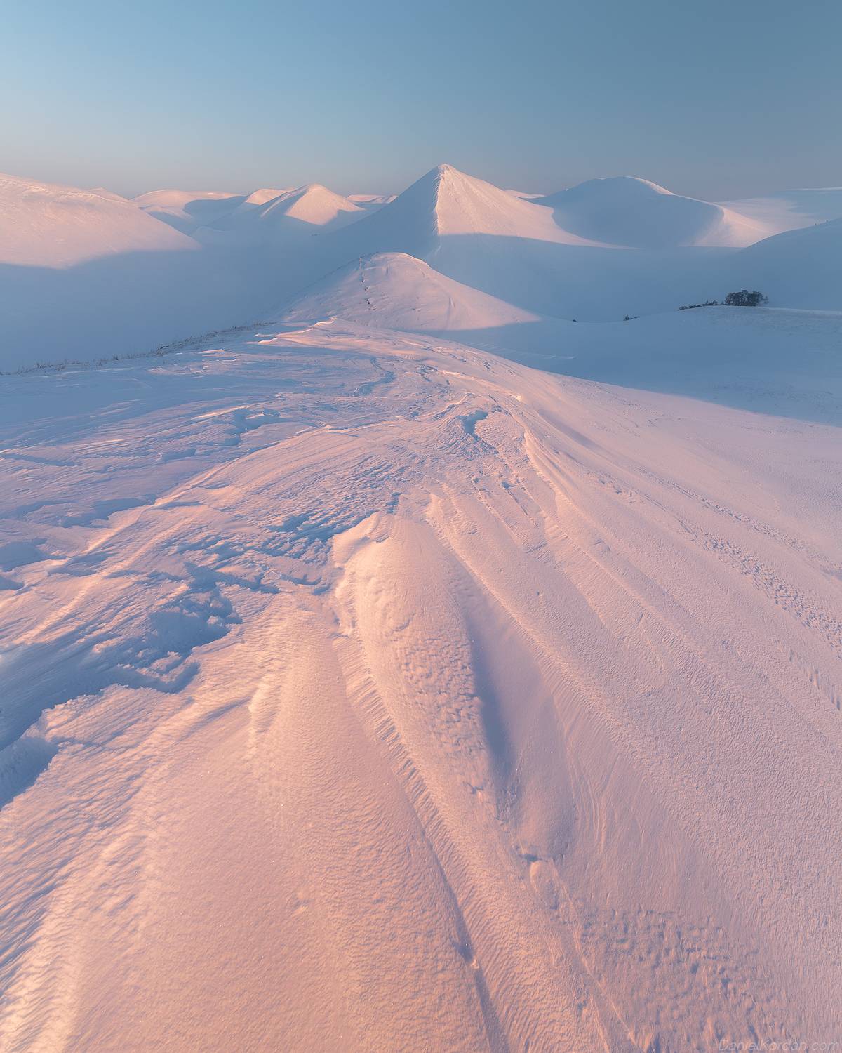 , Даниил Коржонов