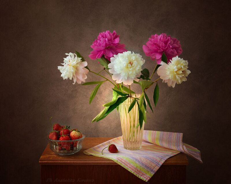 фото превью