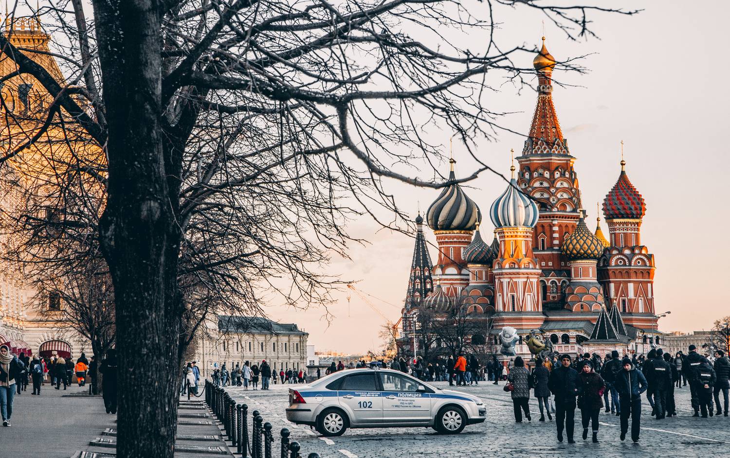 , Трепольский Дмитрий