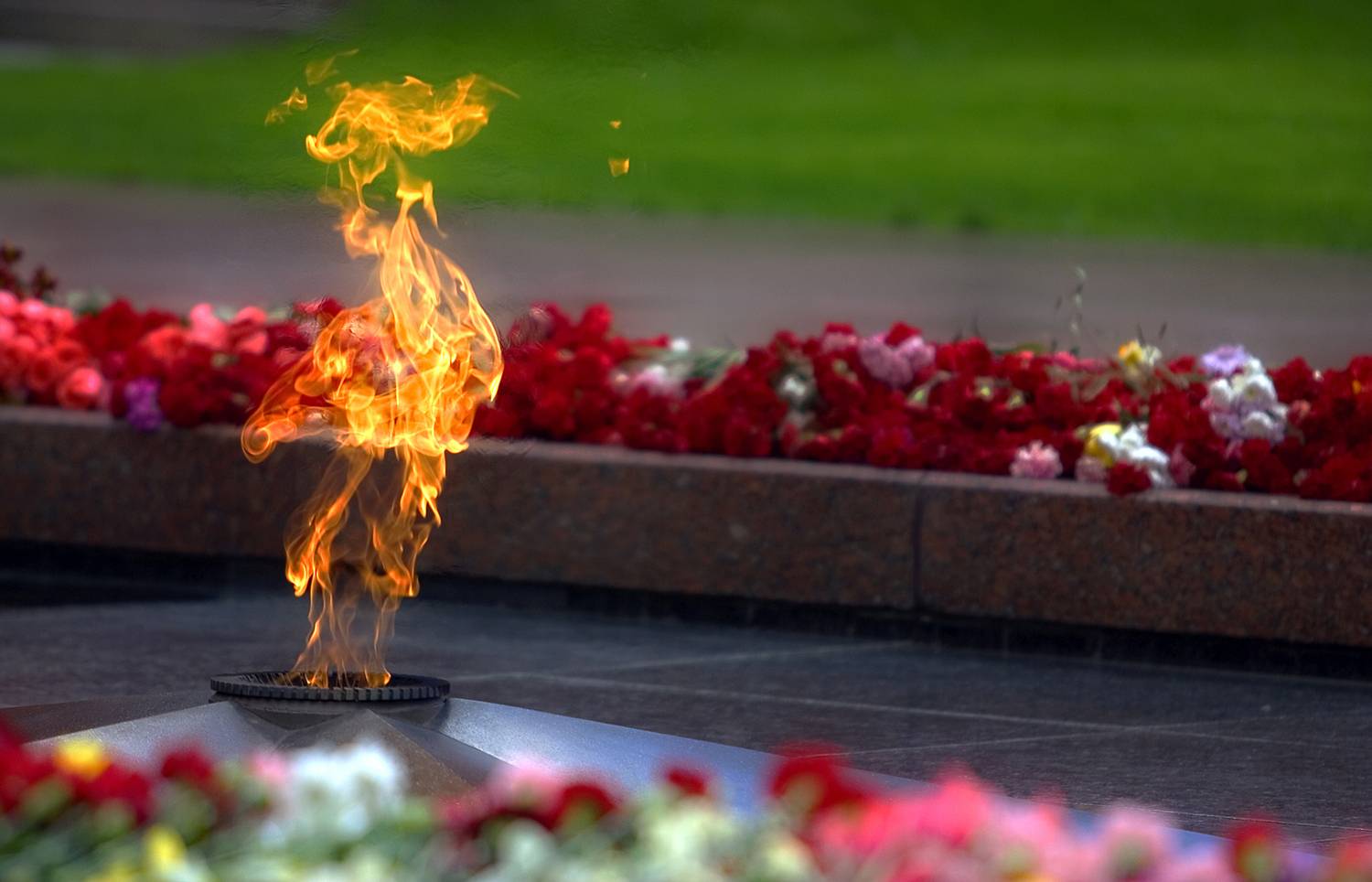 , Андрей Петросян