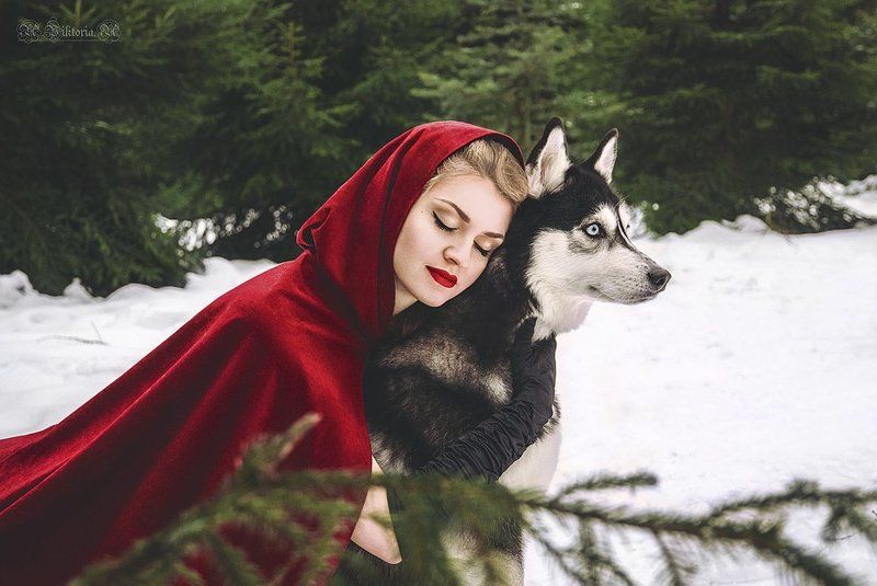 Красная шапочка, фентези, сказка Красная шапочка фото превью