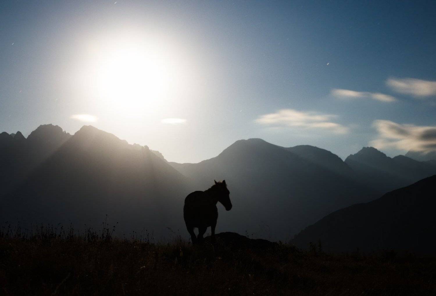 горы, кавказ, луна, лошади, путешествия, ночь, звезды, mountain, travel, moon, night, stars, Дмитрий