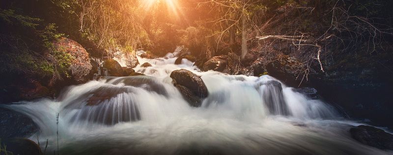 Найди птичек фото превью