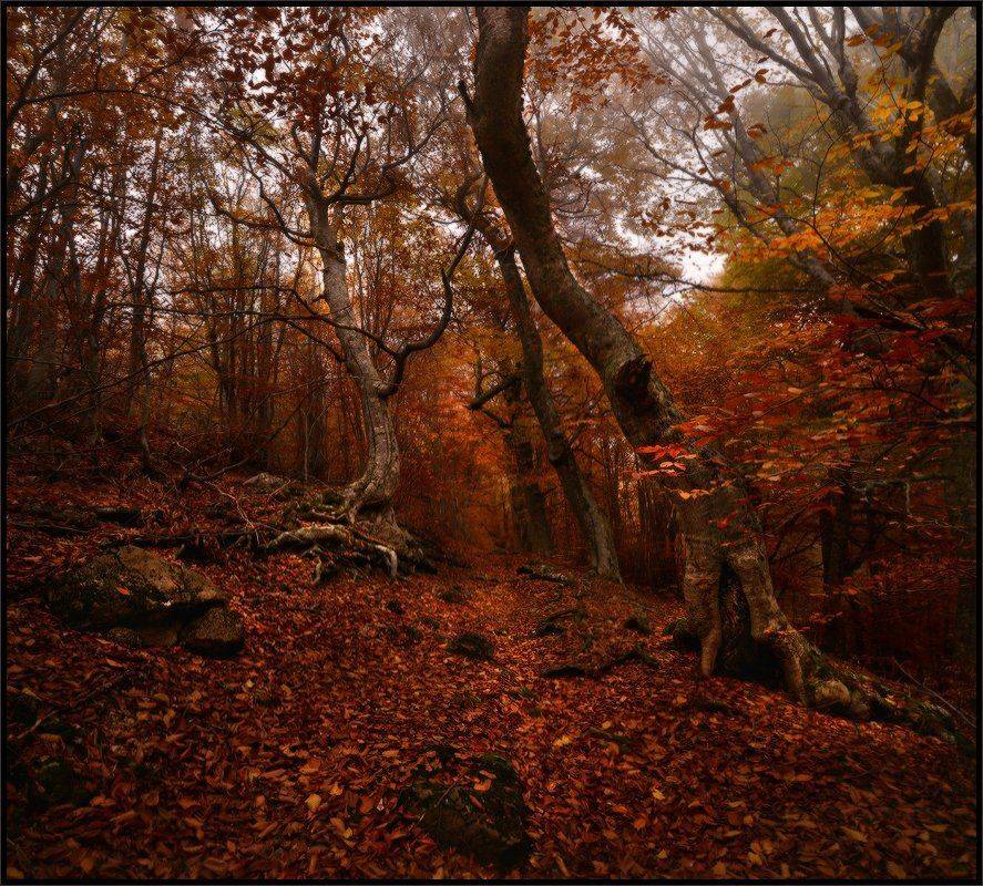 , Владимир Метцгер