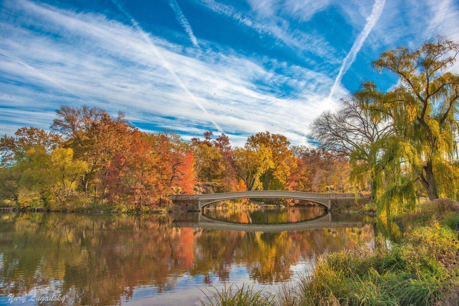 fall, central, park, bow, bridge, Yury Lugansky