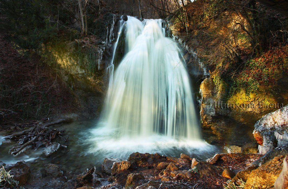 , Щипкова Елена