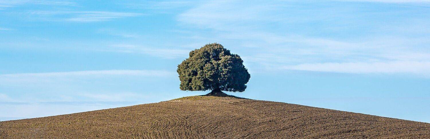 , Лядимов Дмитрий