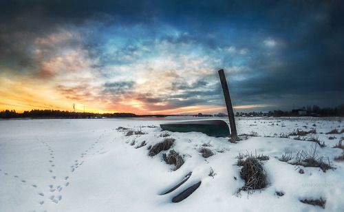 Первое утро весны