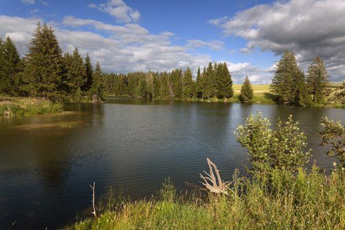 Лесное озеро