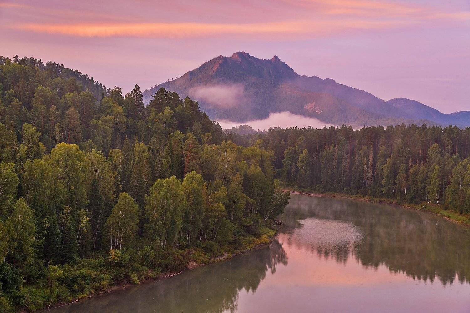 Altai, Siberia, Алтай, Лебедь, Сибирь, Павел Филатов