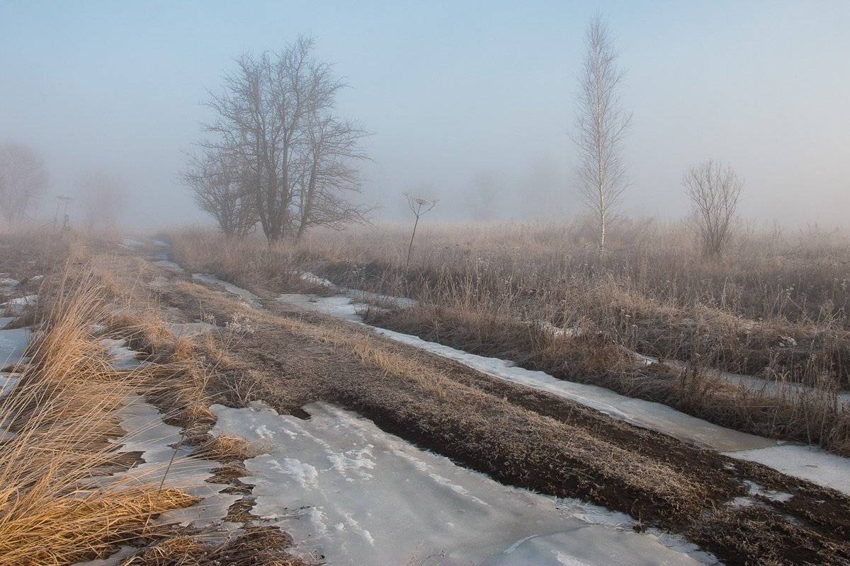 туман, сухиничи, весна, Александр