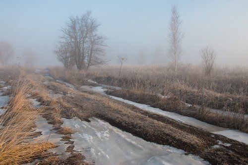 Весна в тумане