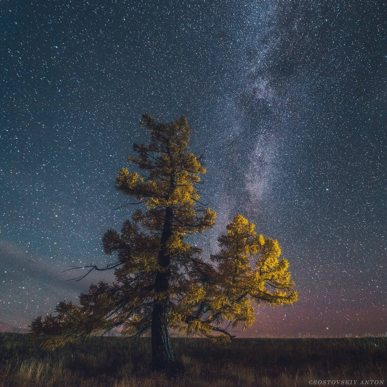 алтай, осень, ночь, млечный путь,, Антон Ростовский