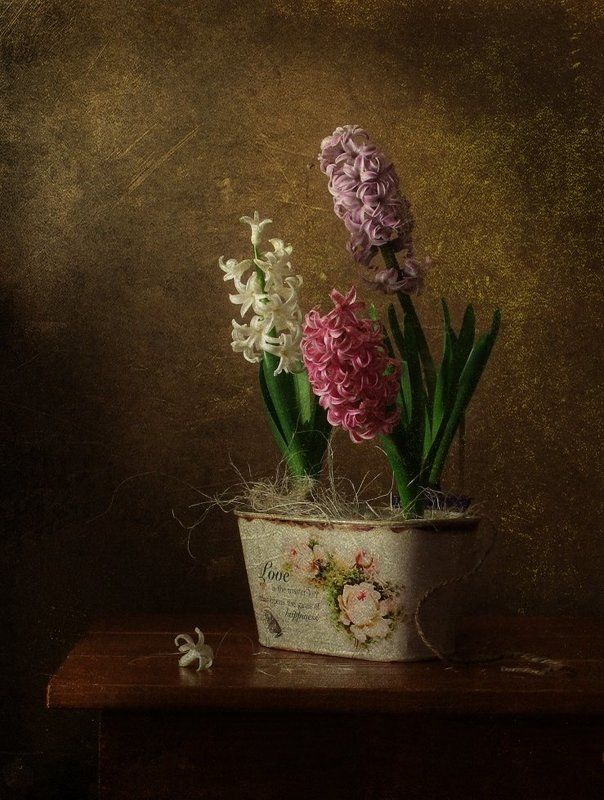 Портфолио фото превью