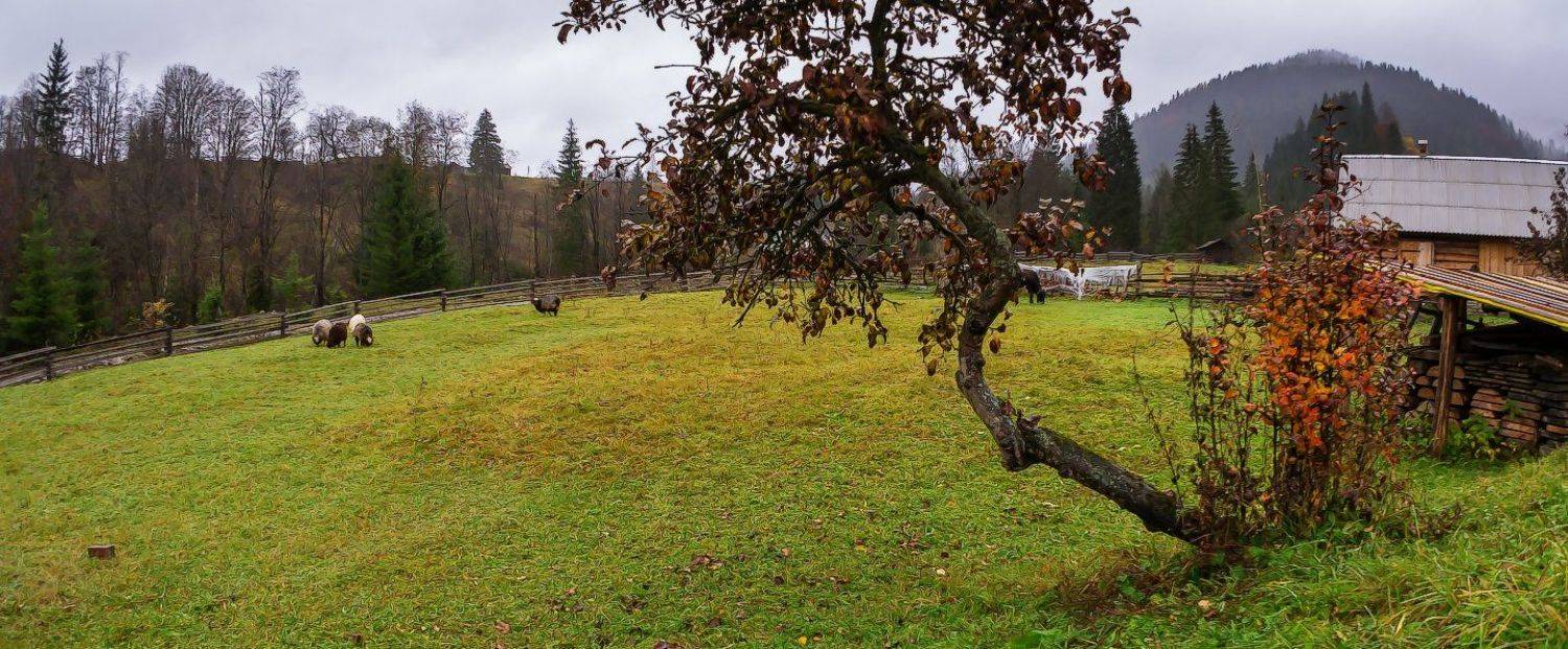 , Валерий Маглена