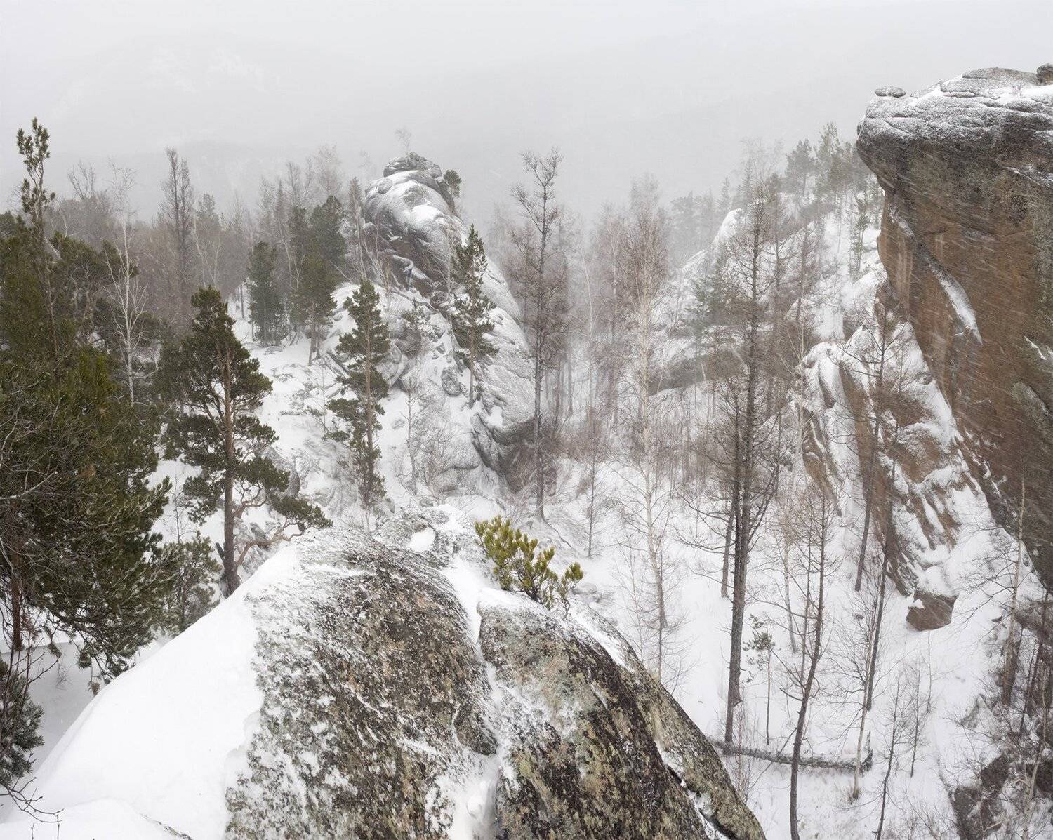 , Лещёнок Александр