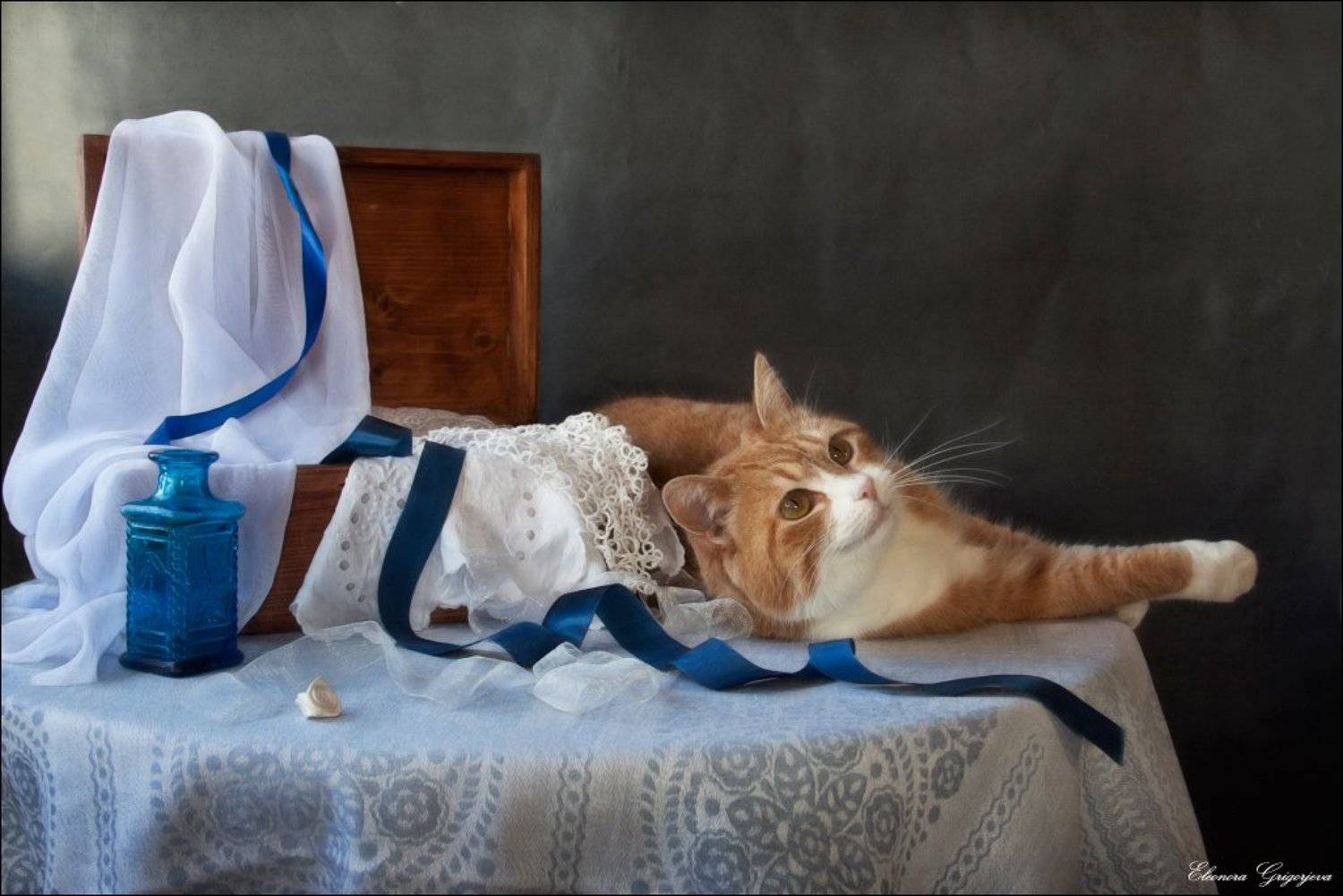 Белое, Голубое, Мечты, Натюркотики, Рыжая кошка, Eleonora Grigorjeva