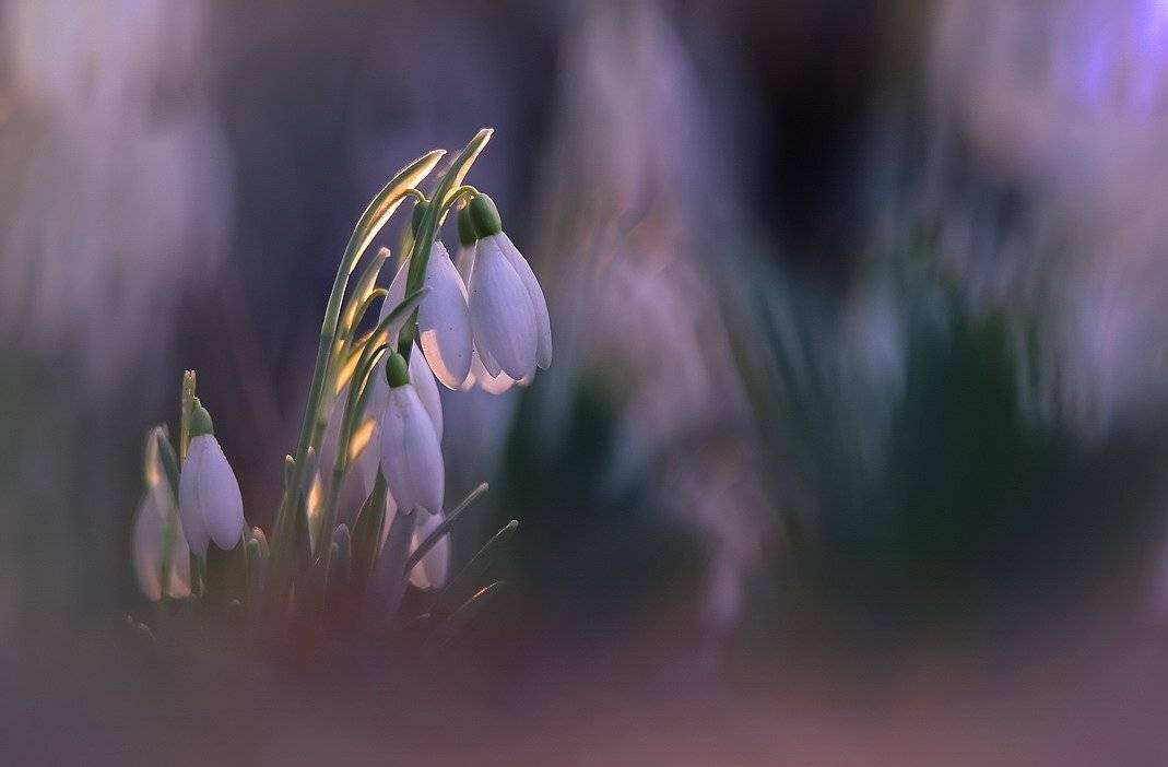 , Вячеслав Мищенко