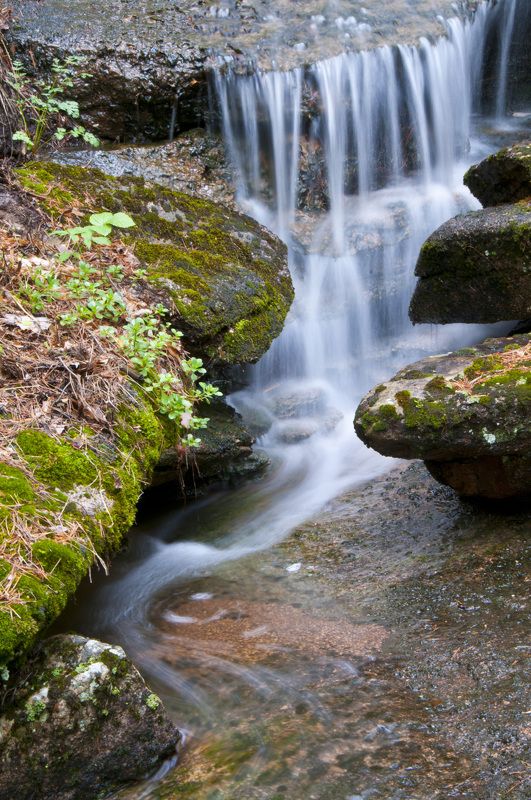 природа. ручей. водопад. Казахстан. Каркаралинск. Ручей. фото превью