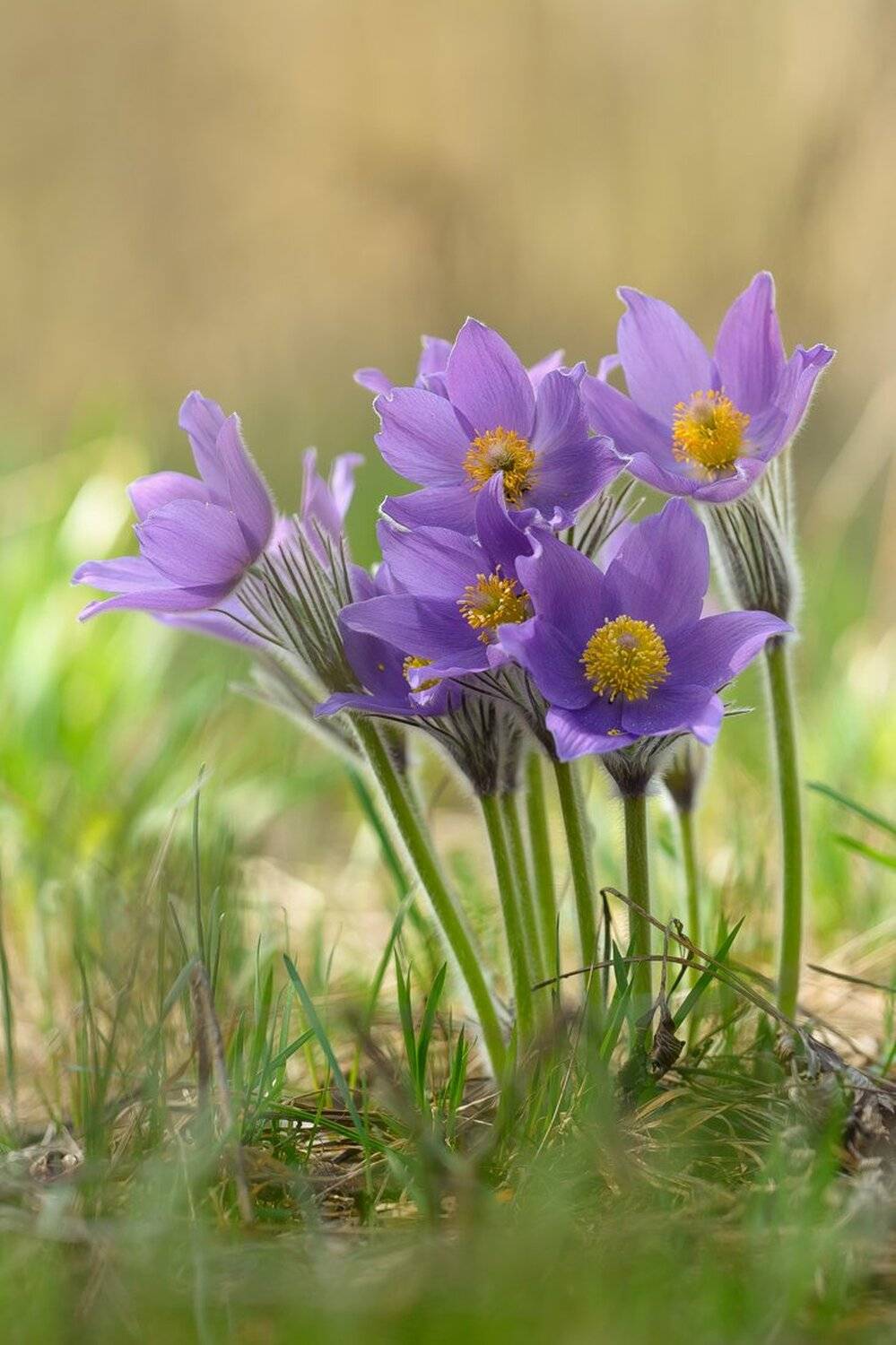 , Кузнецов Дмитрий