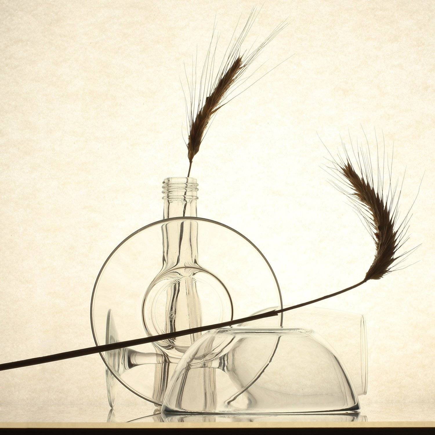 , Динеева Анна