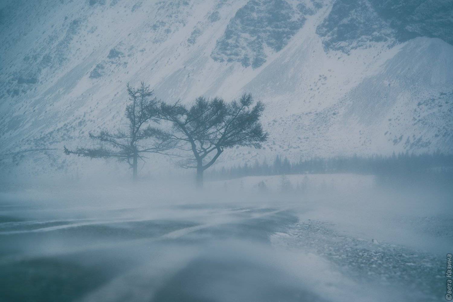 Altai Mountain, Landscape, Road, Tree, Trees, Winter, Алтай, Горный алтай, Горный_алтай, Горы, Дерево, Дорога, Зима, Метель, Пейзаж, Светлана Казина