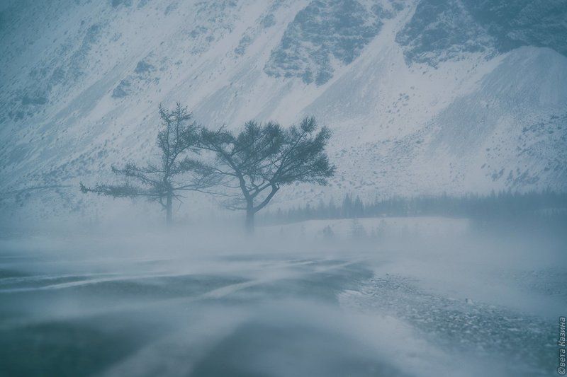 Altai Mountain, Landscape, Road, Tree, Trees, Winter, Алтай, Горный алтай, Горный_алтай, Горы, Дерево, Дорога, Зима, Метель, Пейзаж ...двое выдержат всё... фото превью