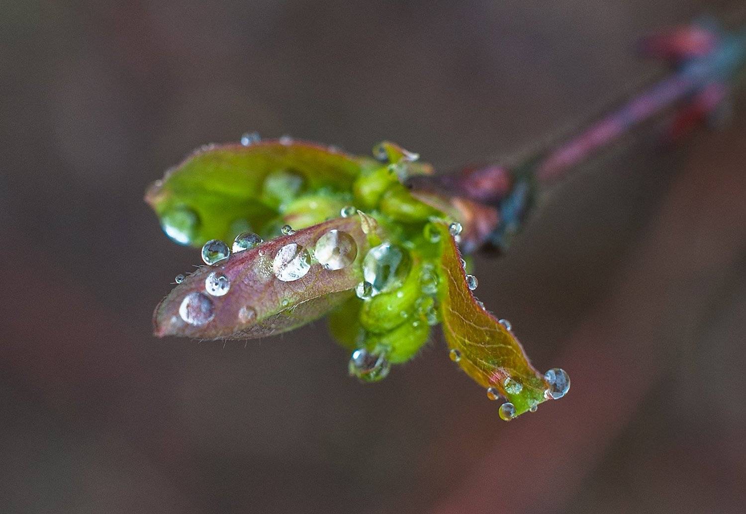 , Валерий Смирнов