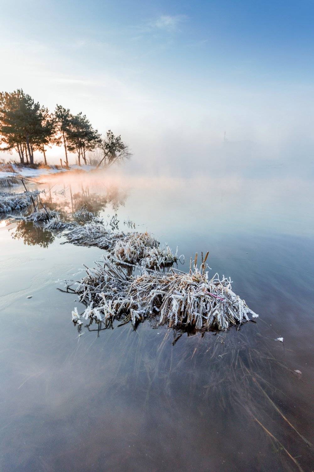 , Игорь Криницын