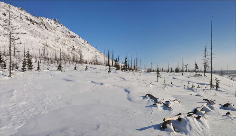 В воскресенье солнечный денек фото превью