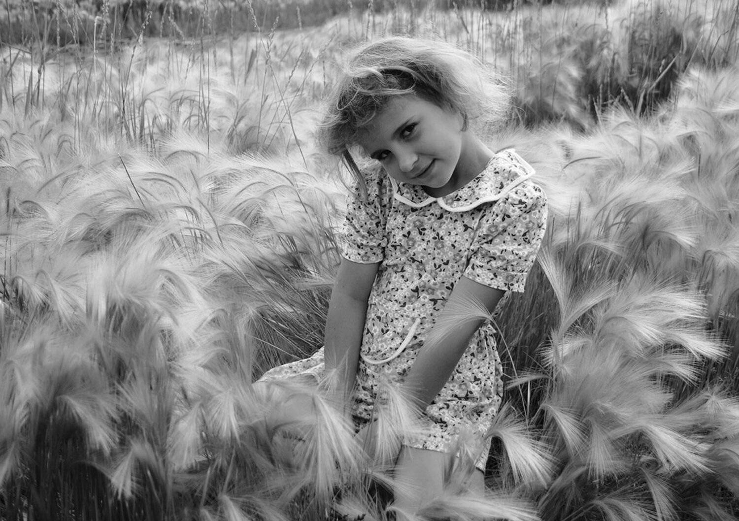 , Николай Морский