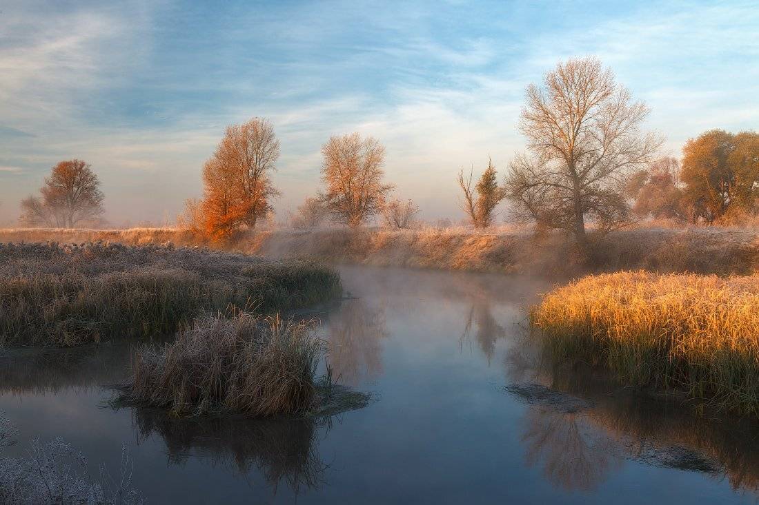 , Ярослав Тюрменко (Jaremi)