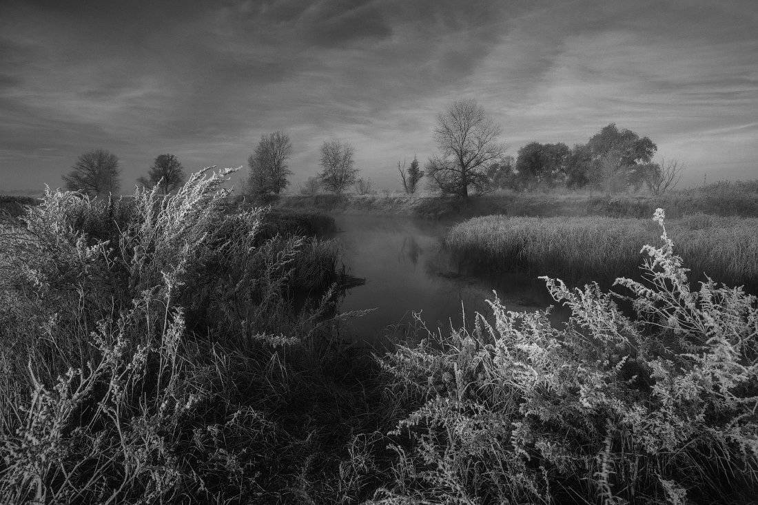 , Ярослав Тюрменко (Jaremi)