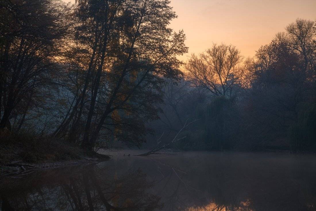 , Ярослав Тюрменко (Jaremi)