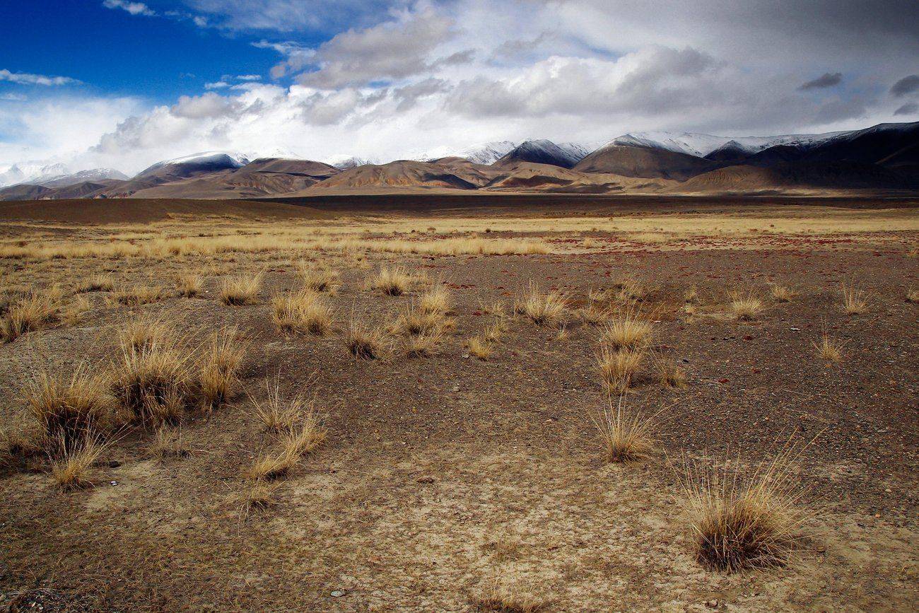 , Дмитрий Д.