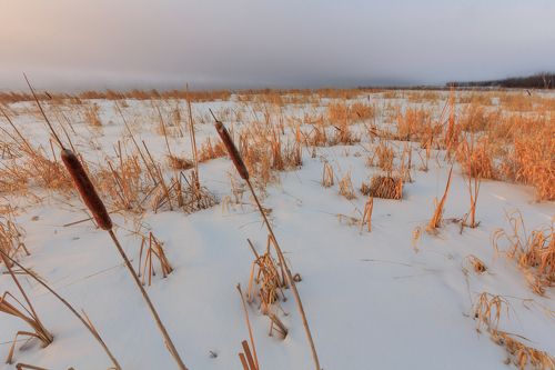 Утро в Арамиле