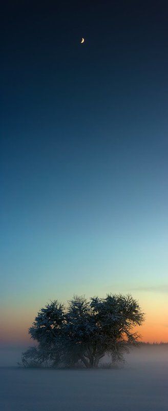 * * * фото превью