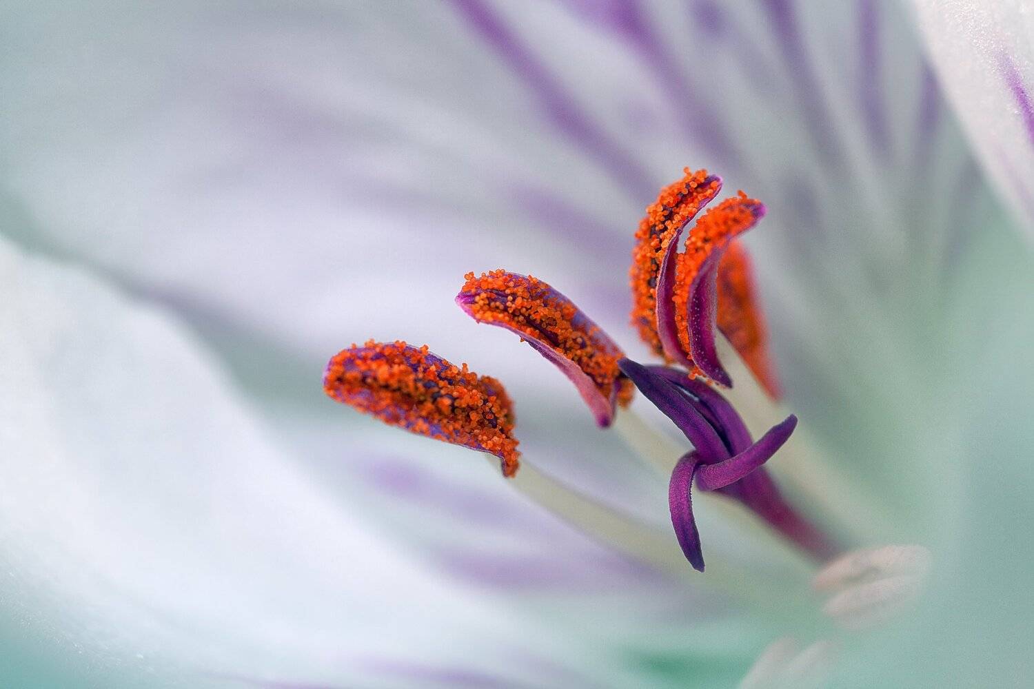 , Эльдар Гуртуев