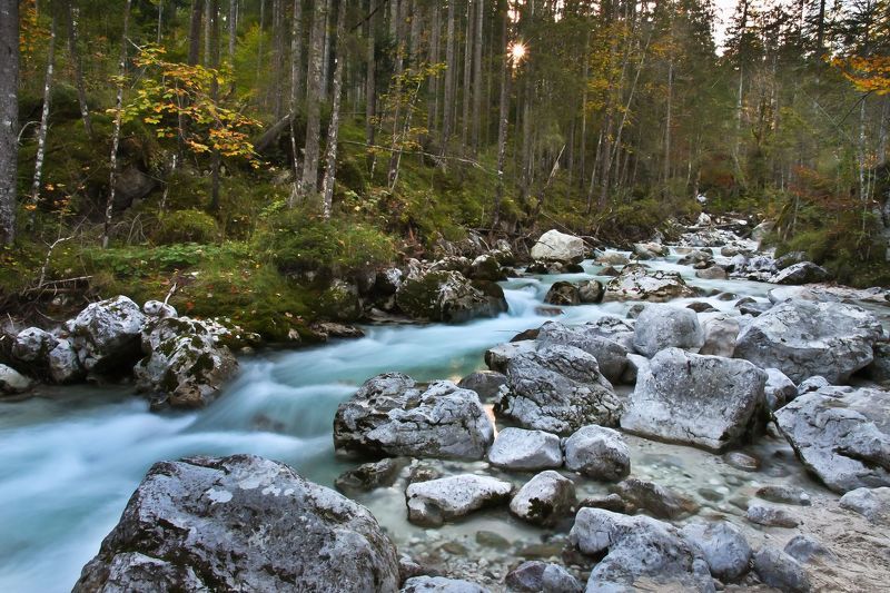 Сказки волшебного леса фото превью