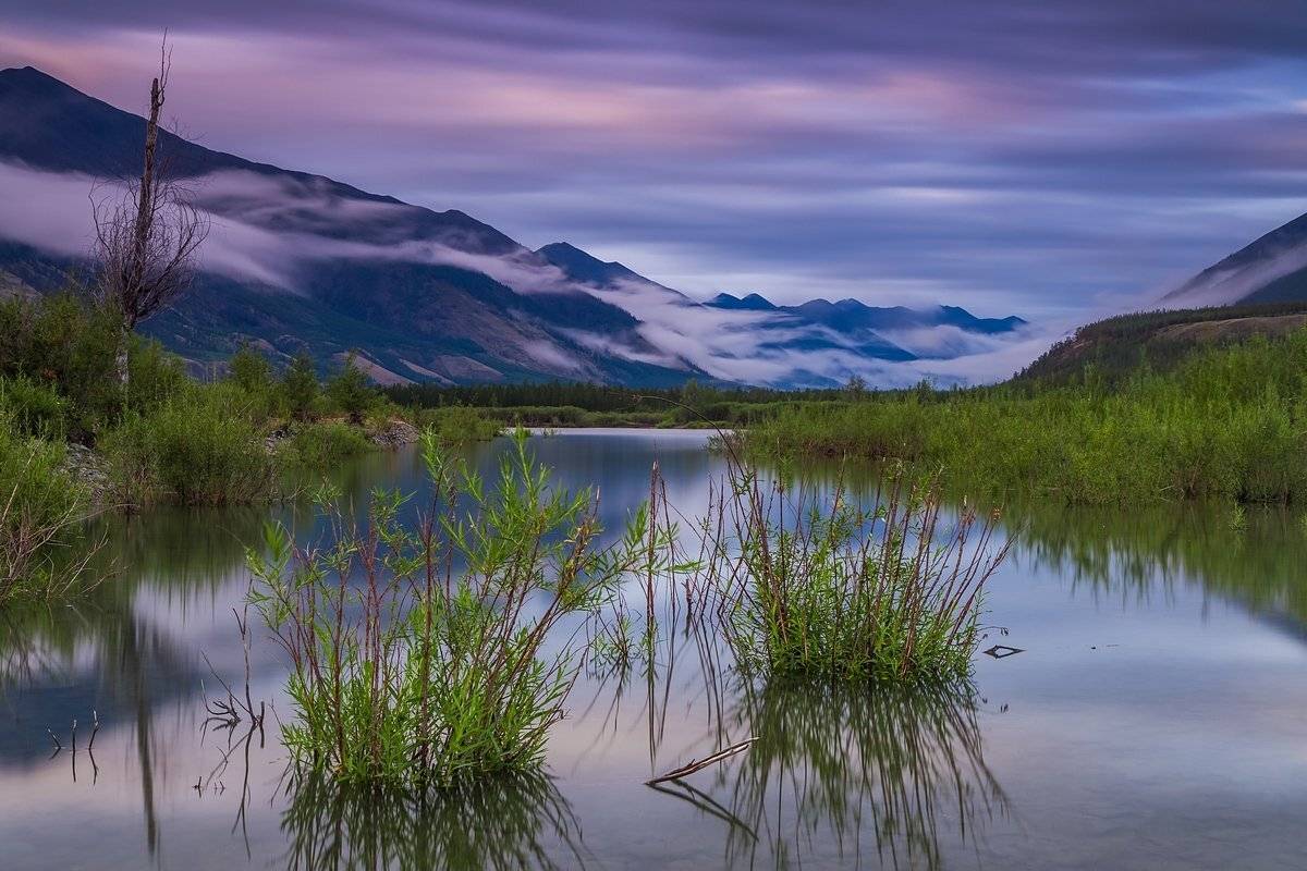 якутия, ручей, лето, белая ночь, горы, пасмурно, пейзаж, хребет черского, индигирка, россия, Кирилл Уютнов