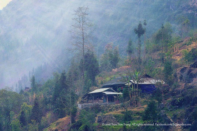 spring dawn фото превью