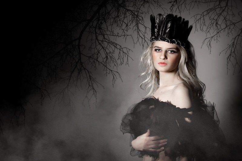 Ворона  фото превью